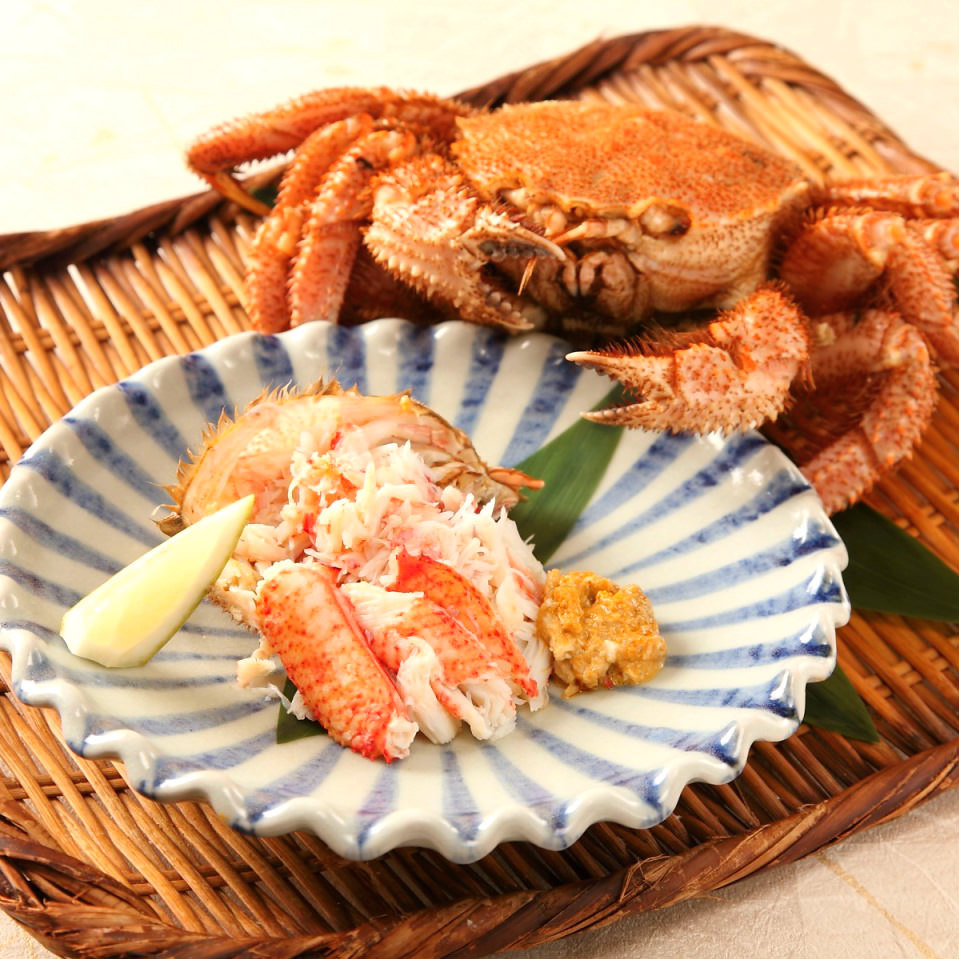 Sushi Tajima Photos 2